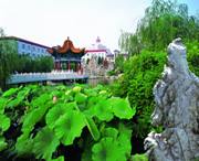 津南后天天气