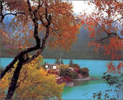 林芝天气预报40天